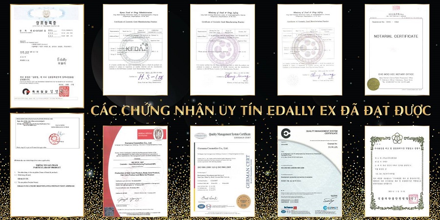 giấy chứng nhận edally
